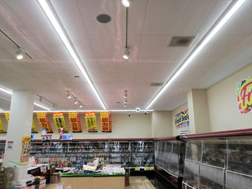 防カビ施工後の天井