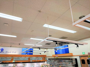 防カビ施工後の天井