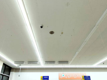 防カビ施工後の天井