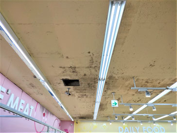 カビ取り前の天井