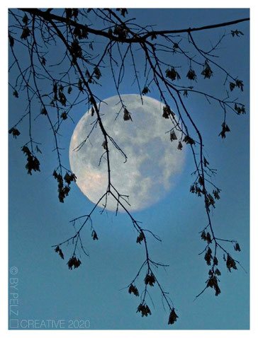 Exponattitel: Mond / abnehmend / 06:23 Uhr - 07. Juli 2020 - Exponatgrößen: 15 x 20 - Art: fineART - © by Pelz Kreativ 2020