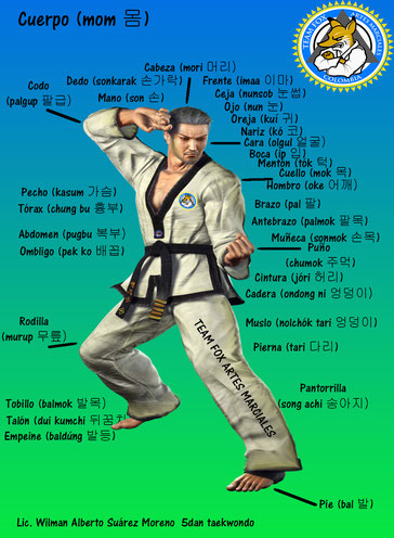 Partes del cuerpo en coreano (hangul) Taekwondo