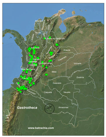 Distribución del género en Colombia