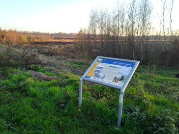Informationstafel im Großen Moor über die Alte Schmiede, Quelle: Jörg Thaden, 2018