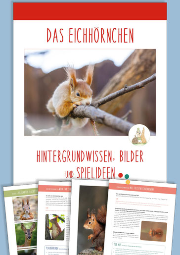 Digitales Materialpaket: Das EICHHÖRNCHEN entdecken mit Kindern