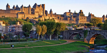 STICKER PLAQUE IMMATRICULATION VILLE DE CARCASSONNE 