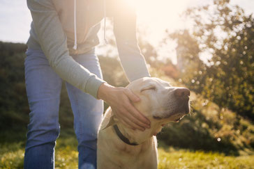 Anima-Balance | TCM für Tiere | Alternativmedizin | Komplementärmedizin | Tiertherapie | Craniosacral Therapie | Osteopathie Hund