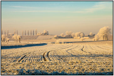 Aachen - Vetschau#Winterlanschaft#Raureif#Richterich#Frld#Roland Valter#rolva#Natur-Fotografie#Aachen 
