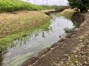 黒目川中流部。池袋からたった２５分の都市近郊とは思えない清流が野原の中を流れている。