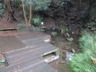 東久留米には、池袋から25分とは思えないような雑木林、鮮烈な湧水がある。この写真だけ見たら、ここは八ヶ岳山麓か？と見紛う。