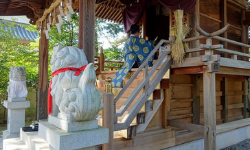 星田神社　新嘗祭