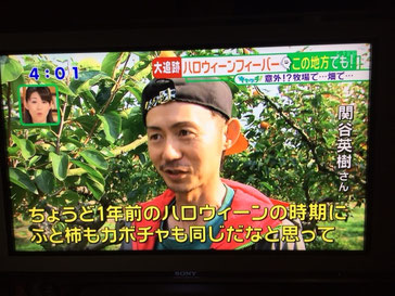 テレビで富有柿の宣伝