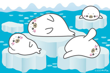 アザラシ等の海の生き物のイラストはコチラ