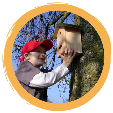 Video- und Fotobeiträge der Naturschwärmer