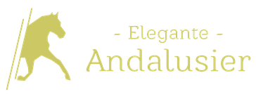 angelina-zankers Webseite!
