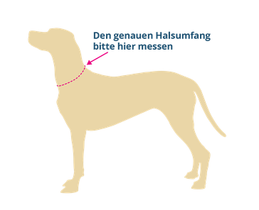 Halsumfang messen Hund