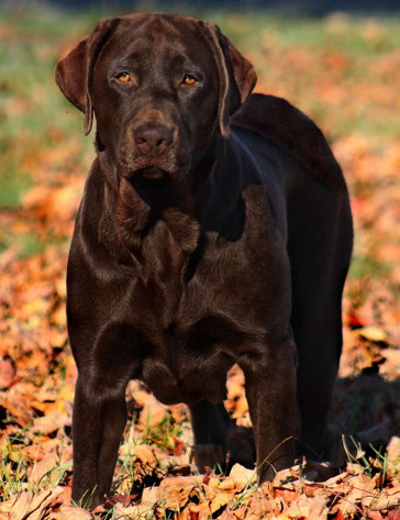 Moka 3 ans