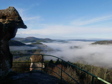 Blick vom Drachenfels aufs Dahner Felsenland