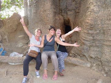Baobab sacré Joal