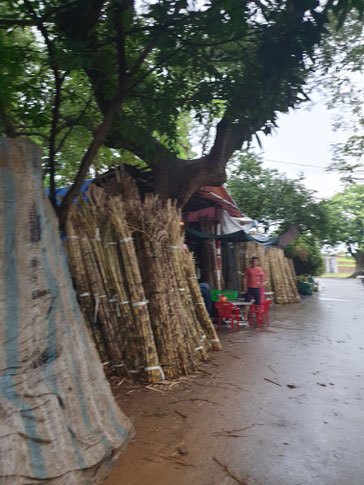 Zuckkerrohr Straßenhandel in Hue