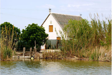 Albufera (Valencia)