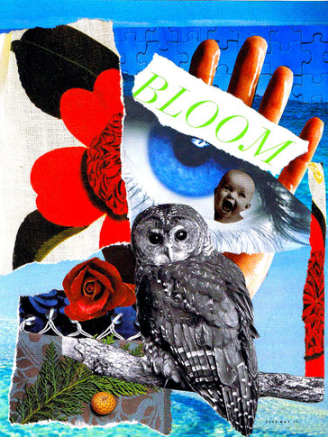 Collage by Shelley Klammer