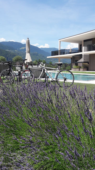 Geführte Bike-Touren, Trockenräume, eigene Werkstätten – zertifizierte „Roter Hahn“-Radlerbauernhöfe wie der Feldhof in Terlan/Südtirol sind perfekt auf Bike-Fans vorbereitet. Bildnachweis: Feldhof