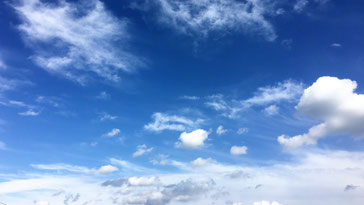 ピンクのしだれ桜と青空の写真