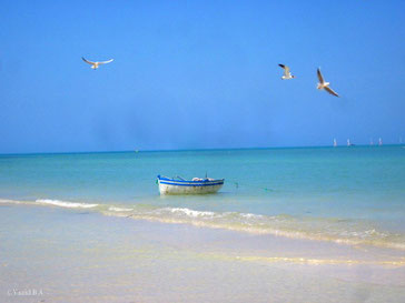 Isla de Djerba