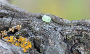 nub-nubber-joint-hop-up-block-chambre-replique-planceur-airsoft