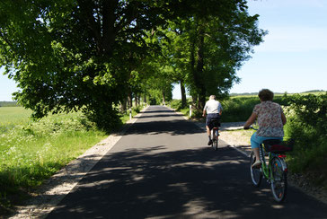 Radfahren an der frischen Luft tut dem Körper gut