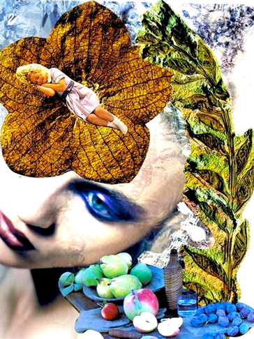 Collage by Shelley Klammer