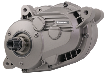 Panasonic GXM 100 MG ©