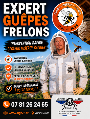Destruction de nid de guêpes et frelons à Miserey-Salines dans le Doubs.
