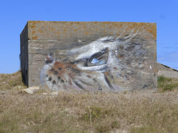 La beauté sur un bunker, le reste d'un passé douloureux