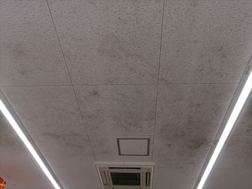 カビ取り前の天井