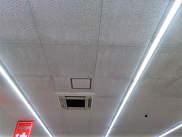 防カビ施工後の天井