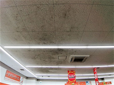 カビ取り前の天井