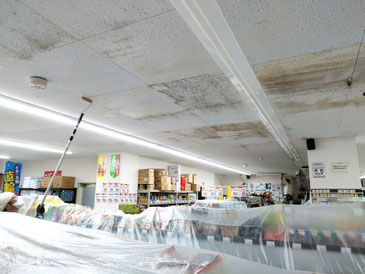 カビ取り作業中