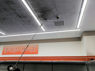 カビ取り作業中
