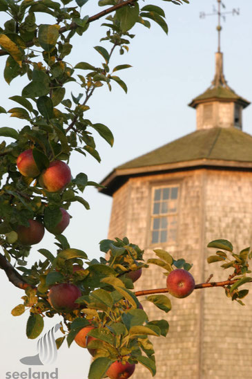 Wasserturm