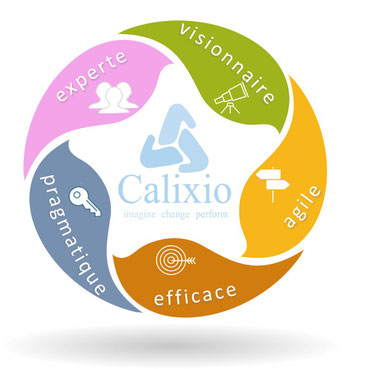 visionnaire, agile, efficace, pragmatique et experte