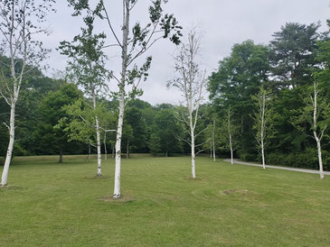 湯川ふるさと公園