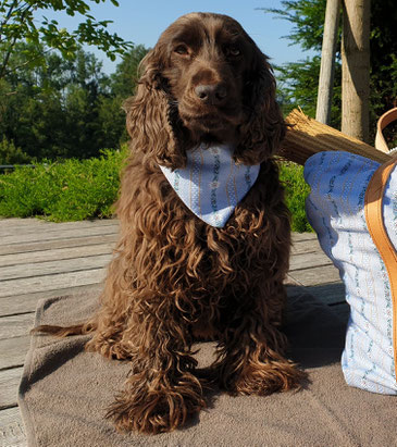 Hundebett waschbar, abziehbar, swiss made, mit Naturfaser gefüllt