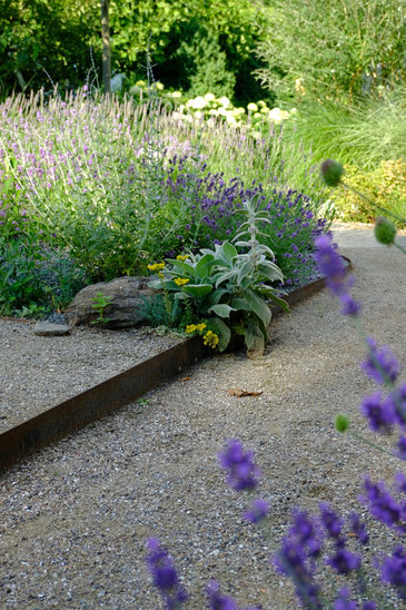 dieartigeGARTEN // next to the path to the house - Lavendel Hill