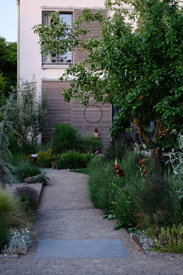 dieartigeGARTEN // next to the path to the house - Lavendel, Iris, Gras, Apfelbaum, Sommerflieder