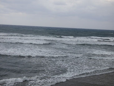 かなり風が強くなって、波が潰されていました、流れも強かったようです。