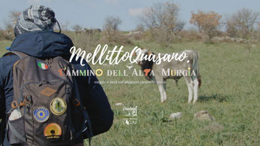 TREK 06-08/12 | MellittoQuasano: Alta Murgia | Puglia
