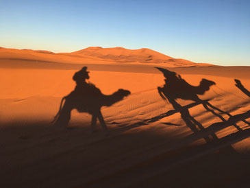 Camel ride into the Sunset of Erg Chebbi