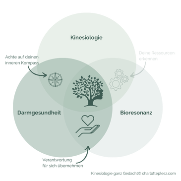 “Interaktives Venn-Diagramm, das die Verbindung zwischen Kinesiologie, Bioresonanz und Darmgesundheit illustriert, präsentiert von Charlotte Plesz. Das Diagramm zeigt die Synergien und gemeinsamen Prinzipien dieser holistischen Gesundheitsansätze